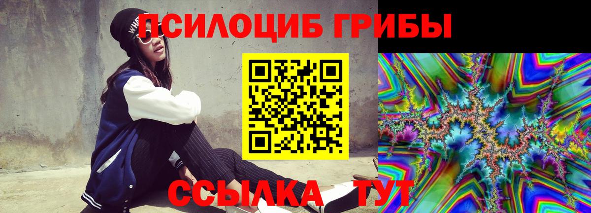 Псилоцибиновые грибы Cubensis Сергиев Посад